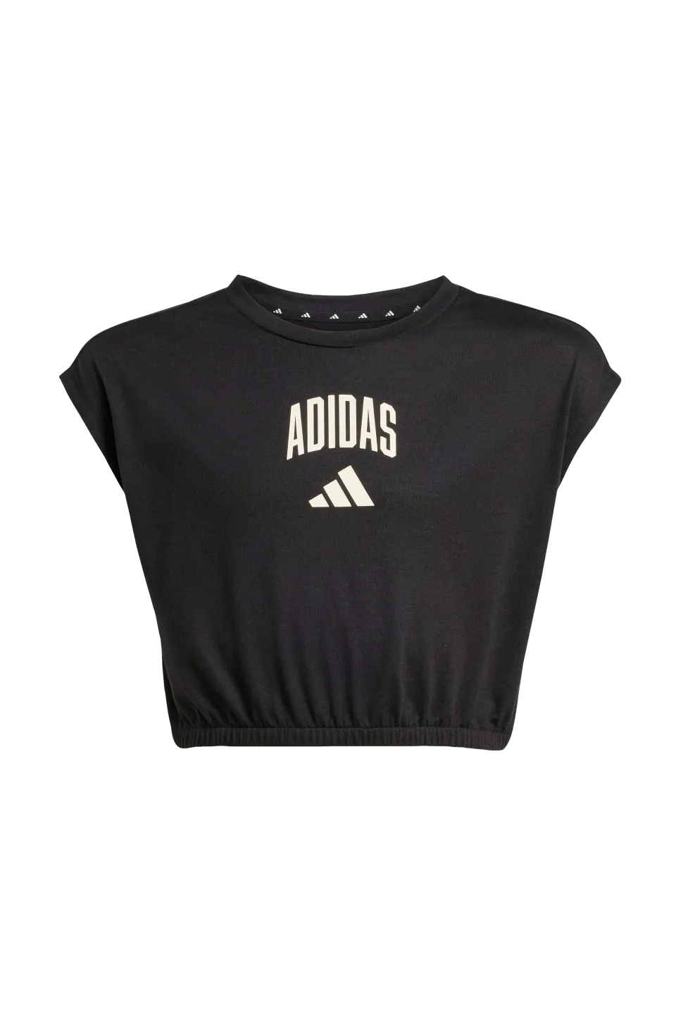 adidas Sport Performance Träningskläder > T-shirt JG Clgt Tee