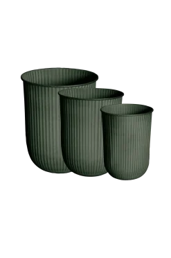 DBKD Växter & Blommor > Pot Out Stripe 3-pack