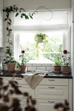 Hasta Hissgardiner > Roman Blind Linnéa höjd 160 cm