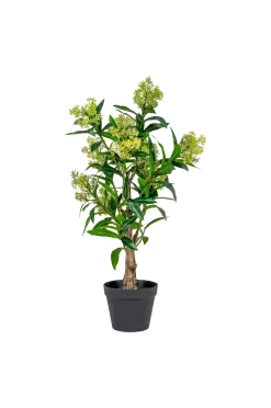 New Vinterbär Växter & Blommor