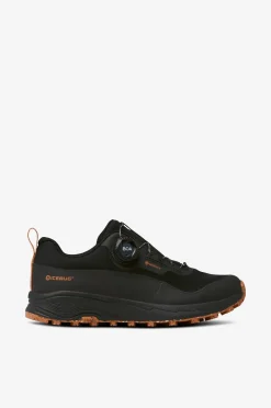 Icebug Skor|Träningsskor > Walkingskor Haze W RBX GTX