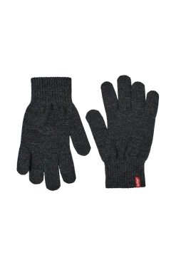 Levi's Handskar & Vantar > Fingervantar Ben Touch creen Gove