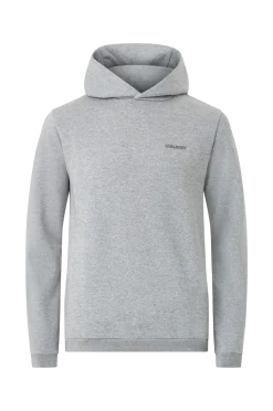 Lyle & Scott Sweatshirts & Hoodies > Huvtröja ogo Bruhback Puover