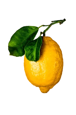 Coffee Table Book - The Gourmand'S Lemon . A Collection Of Stories And Recipes Coffee Table Books
