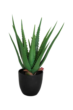 Discount Konstväxt Viridis Aloe Vera Växter & Blommor
