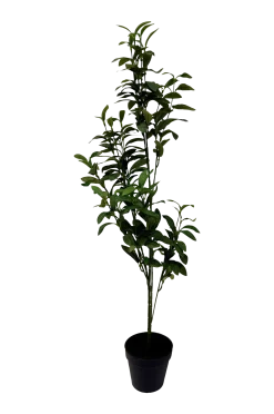 Hot Konstväxt Viridis Olive Tree Växter & Blommor
