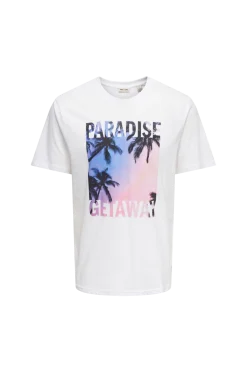 ONLY & SONS T-Shirts & Linnen > T-hirt onagdy ife Reg Photoprint Tee
