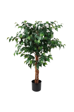 Present Time Växter & Blommor > Konstgjord växt Fig Ficus