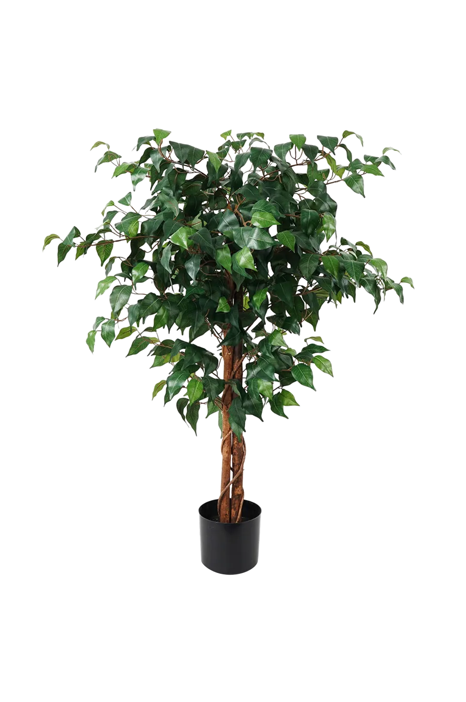 Present Time Växter & Blommor > Konstgjord växt Fig Ficus