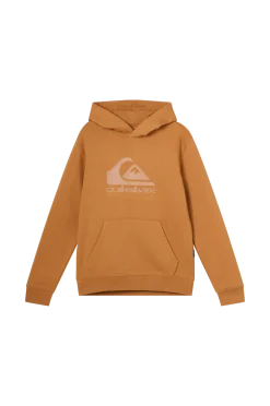 Quiksilver Sweatshirts & Hoodies > Huvtröja Comp Logo Hoodie Youth