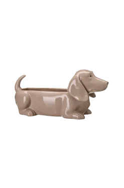 Jacky Hund kruka Krukor