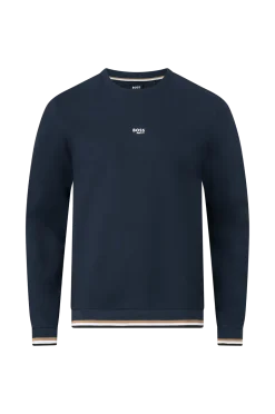 BOSS Sweatshirts & Hoodies > weathirt Iconic