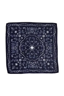 BOW19 Details Halsdukar & Scarves > Scarf Paisley