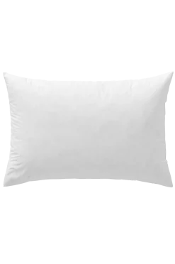 Ellos Prydnadskuddar & Fodral > Home Innerkudde med fjäderfyllning 60x40 cm
