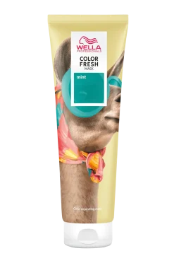 Clearance Color Fresh Mask Mint Hårfärg